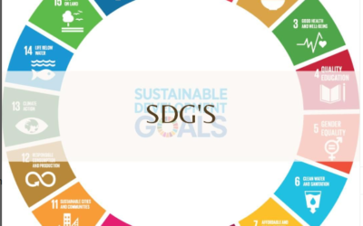 Introduction to the Sustainable Development Goals