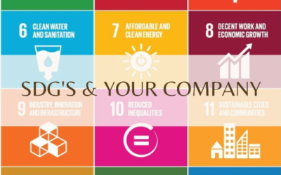 SDGs in conjunction with my Company