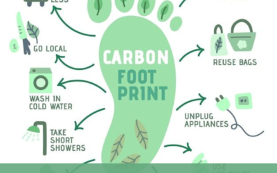 Practical ways to mitigate your carbon footprint in Uganda